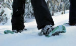 snowshoes